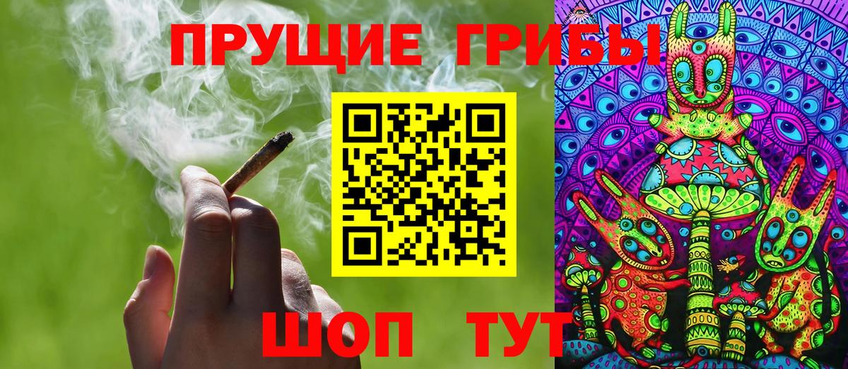 Курск  Галлюциногенные грибы Psilocybe  Вход с VPN 